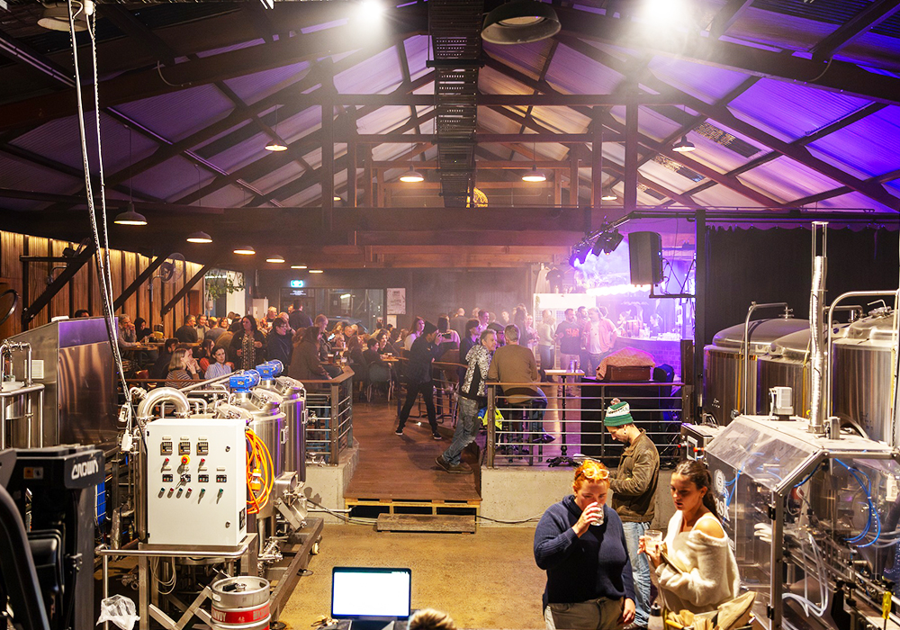 1000L brewery equipment,microbrewery equipment